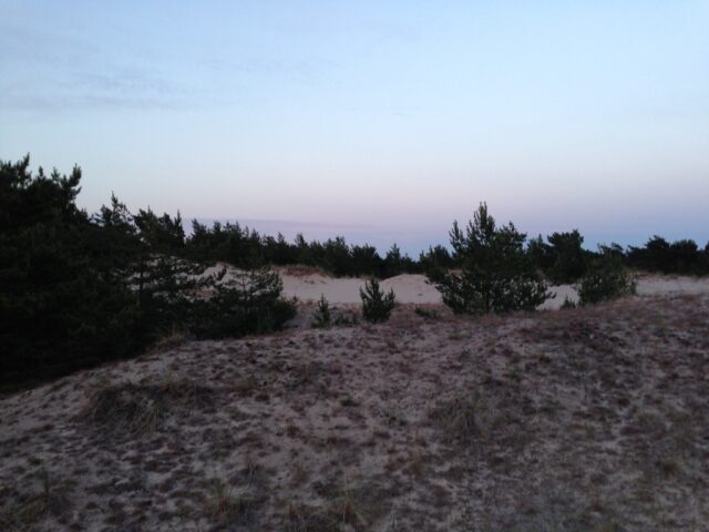 Dünenlandschaft
