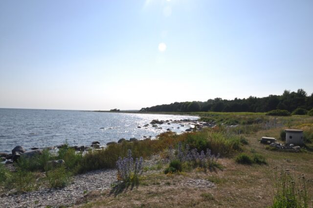 Rastplatz am Meer