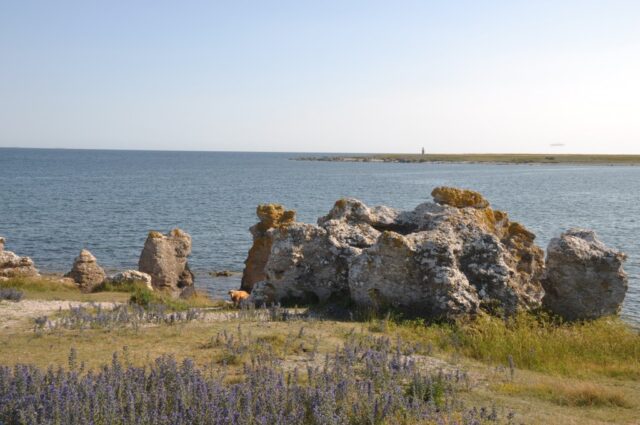 Rastplatz am Meer