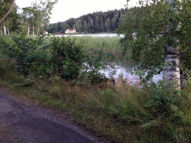 Am See