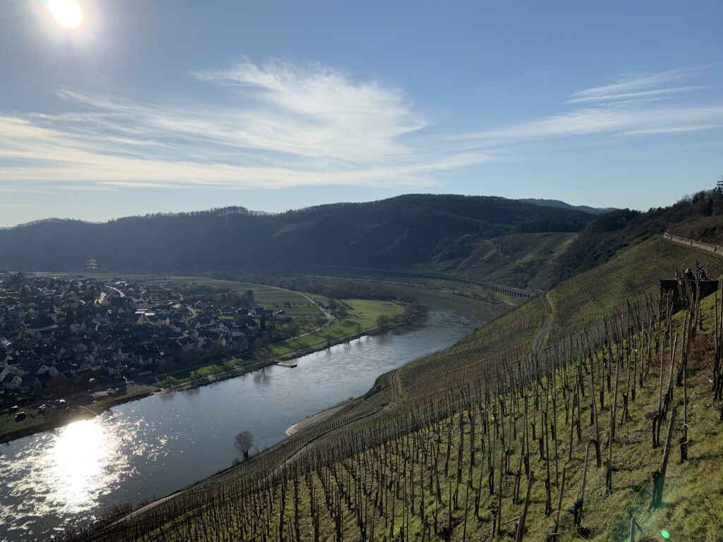 Mosel bei Bremm