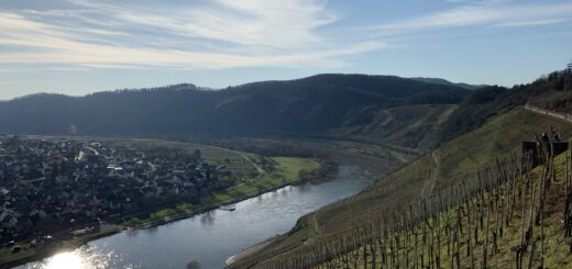 Mosel bei Bremm