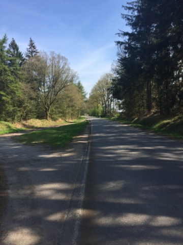 Ein Stück Straße. aber kein Auto