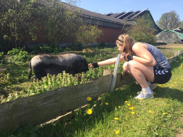 Begegnung am Wegesrand