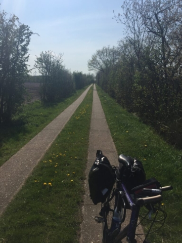 Gerade - vorne wie hinten