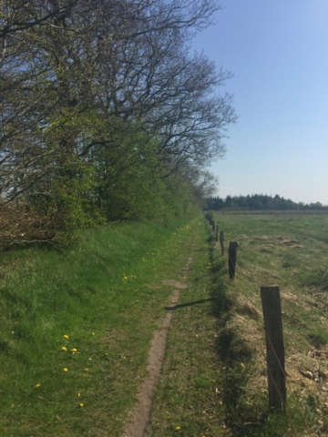 Die Wege werden schmaler