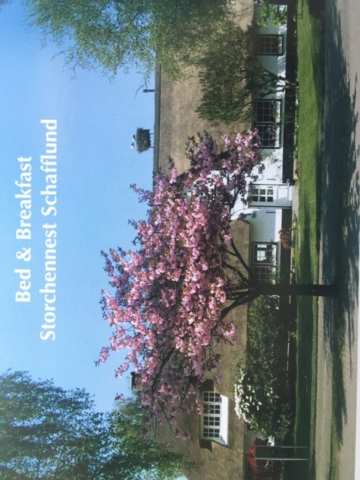 Storchennest in Schafflund