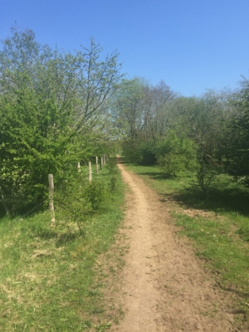 Wieder weg von der Straße