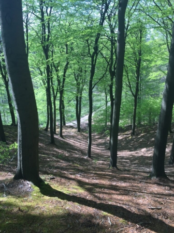 in der Nähe des Superbonus